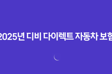 2025년 디비 다이렉트 자동차 보험 - 총정리 및 완벽 분석 : 10가지 핵심 정보 17