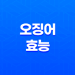 오징어는 얼마나 좋을까? 17