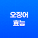 오징어는 얼마나 좋을까? 23
