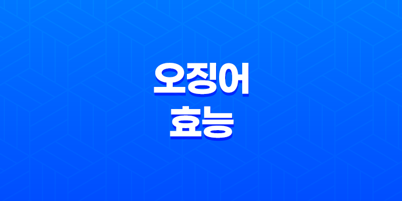 오징어는 얼마나 좋을까? 8 오징어는 얼마나 좋을까? 7