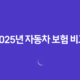 2025년 자동차 보험 비교 : 꼼꼼하게 따져보고 저렴하게 가입하는 방법 - 총정리 43