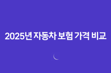 2025년 자동차 보험 가격 비교 - 저렴하고 합리적인 보험 찾기 완벽 가이드 13