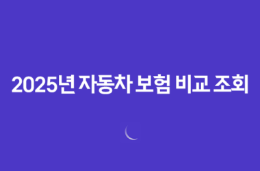 2025년 자동차 보험 비교 조회 13