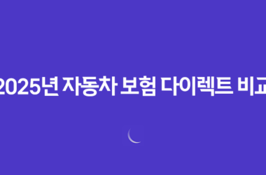 2025년 자동차 보험 다이렉트 비교(+ 나에게 맞는 최적의 보험 찾기) 8 2025년 자동차 보험 다이렉트 비교(+ 나에게 맞는 최적의 보험 찾기) 7