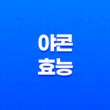 야콘의 다양한 효능과 먹는 방법을 알아보자! 21