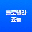 클로렐라 효능, 부작용 21