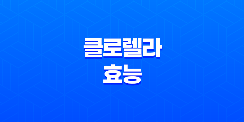 클로렐라 효능, 부작용 8 클로렐라 효능, 부작용 7