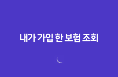 내가 가입 한 보험 조회 - 2025년, 잊고 있던 내 보험 똑똑하게 확인하는 7가지 방법 13