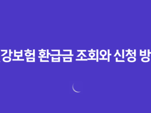 건강보험 환급금 조회와 신청 방법 : 의료비 환급의 모든 것 17