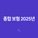 종합 보험 2025년 완벽 가이드, 10가지 핵심 질문과 전문가 상세 분석 13