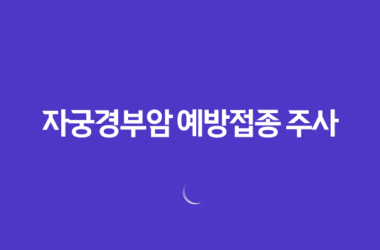가다실 9이란 자궁경부암 예방접종 주사 25