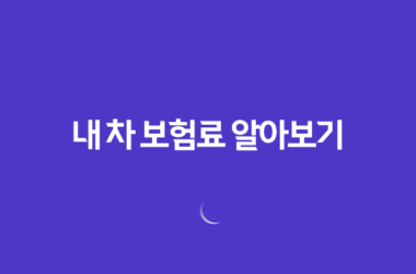 내 차 보험료 알아보기 - 2025년, 가장 쉽고 빠른 7가지 방법 25