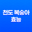 천도 복숭아 효능과 특징, 성분 총정리 17