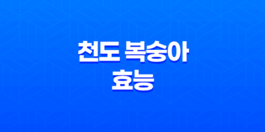 천도 복숭아 효능과 특징, 성분 총정리 39