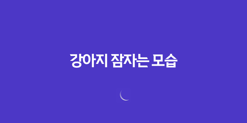 더위에는 강아지들도 못참아요 - 강아지 잠자는 모습 7