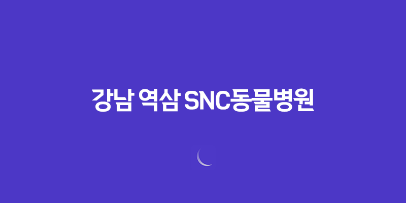 강남 역삼 SNC동물병원, 예방접종 마무리! 8 강남 역삼 SNC동물병원, 예방접종 마무리! 7