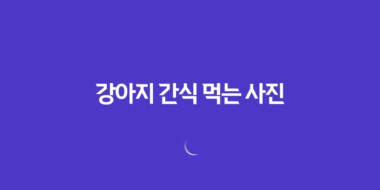 강아지 간식 먹는 사진, 귀여워! 강아지 커플 43