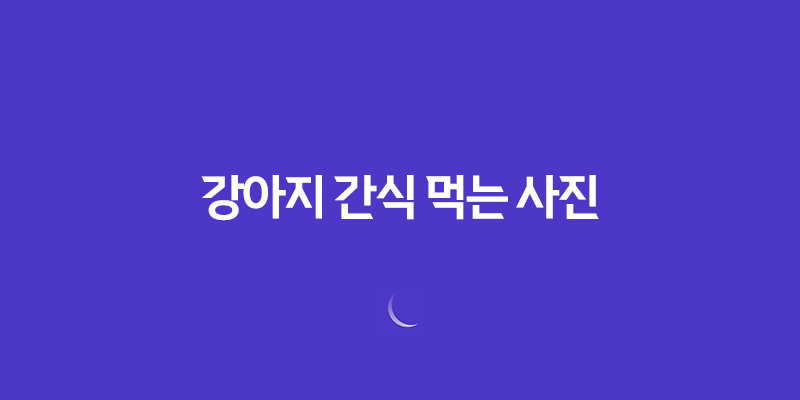 강아지 간식 먹는 사진, 귀여워! 강아지 커플 7