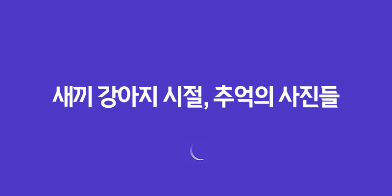 귀여운 루이와 구름이의 새끼 강아지 시절, 추억의 사진들 8 귀여운 루이와 구름이의 새끼 강아지 시절, 추억의 사진들 7
