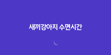 새끼강아지 수면시간, 애기강아지들이 너무 귀여워요! 15