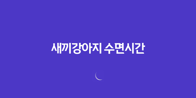 새끼강아지 수면시간, 애기강아지들이 너무 귀여워요! 7