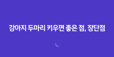 강아지 두마리 키우면 좋은 점, 장단점 51