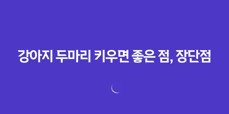 강아지 두마리 키우면 좋은 점, 장단점 8 강아지 두마리 키우면 좋은 점, 장단점 7