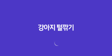 강아지 털깎기, 여름 더위를 시원하게 이겨내는 방법 51