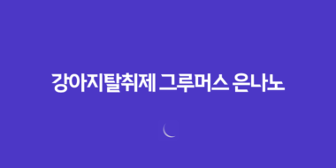 강아지탈취제 그루머스 은나노 항균탈취제 - 강력한 냄새 제거와 항균 효과 67