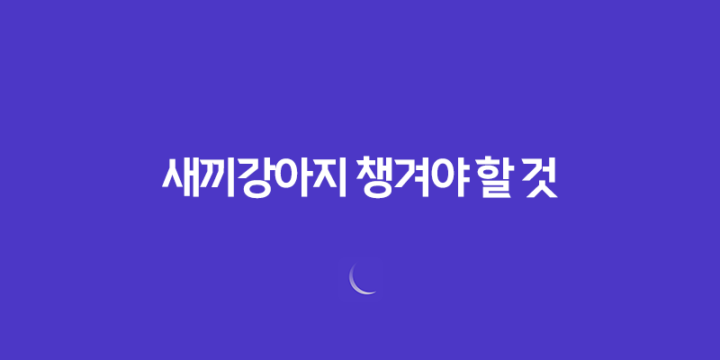 강아지 키우기, 새끼강아지 챙겨야 할 것 8 강아지 키우기, 새끼강아지 챙겨야 할 것 7