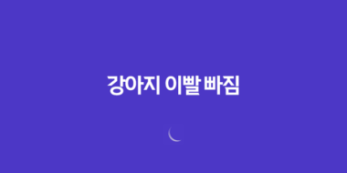 강아지 이빨 빠짐, 딱딱한 껌 주지 마세요 - 어떻게 대처해야 할까요? 23