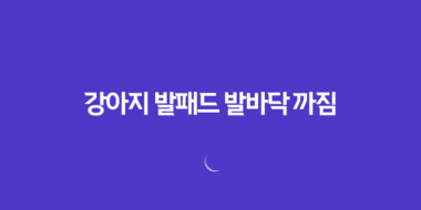 강아지 발패드 발바닥 까짐, 여름 산책 조심하세요! 37