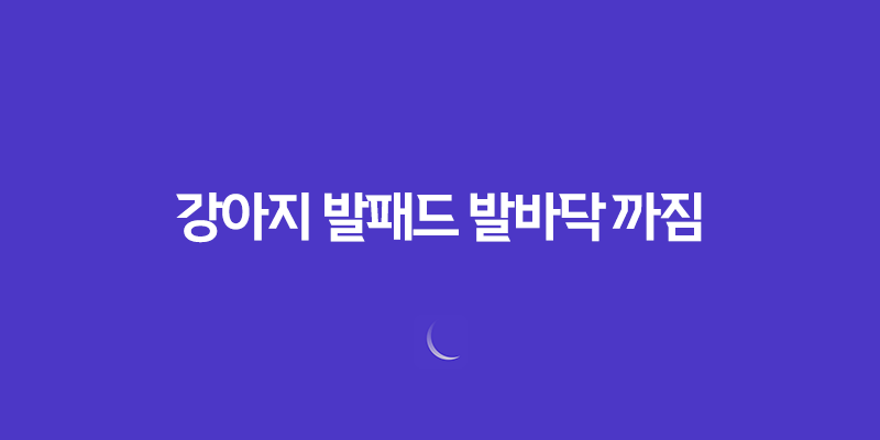 강아지 발패드 발바닥 까짐, 여름 산책 조심하세요! 7