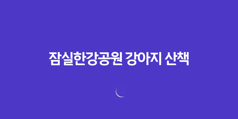 잠실한강공원 강아지 산책 강아지 에티켓 총정리 8 잠실한강공원 강아지 산책 강아지 에티켓 총정리 7