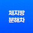 5가지 체지방 분해차의 효능을 알아보자 15