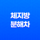 5가지 체지방 분해차의 효능을 알아보자 15