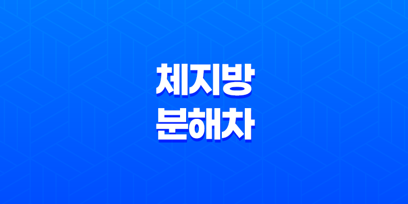 5가지 체지방 분해차의 효능을 알아보자 8 5가지 체지방 분해차의 효능을 알아보자 7