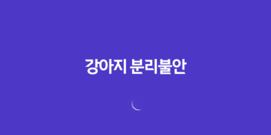 강아지 분리불안 절대 혼자두지마세요! 75