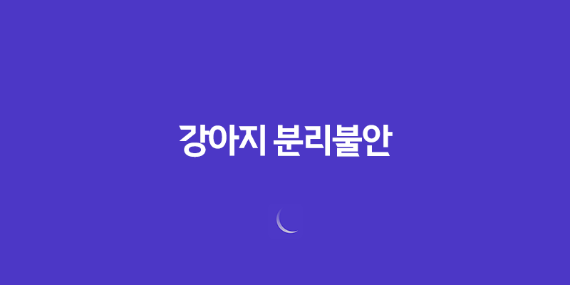 강아지 분리불안 절대 혼자두지마세요! 8 강아지 분리불안 절대 혼자두지마세요! 7