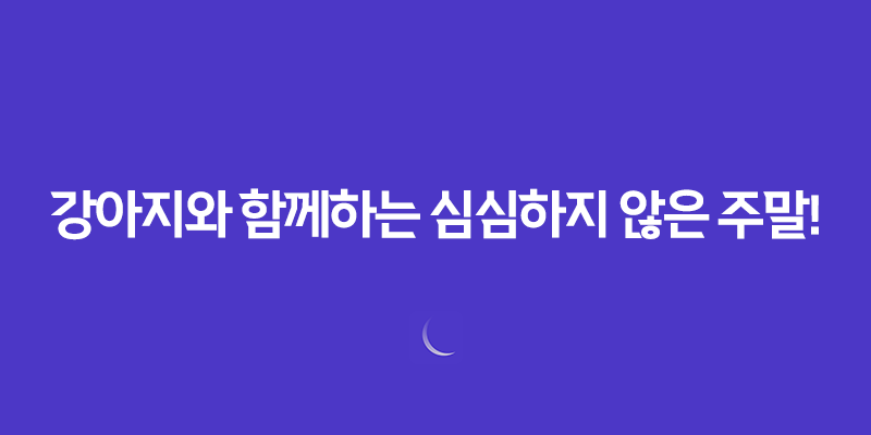 강아지와 함께하는 심심하지 않은 주말! 7