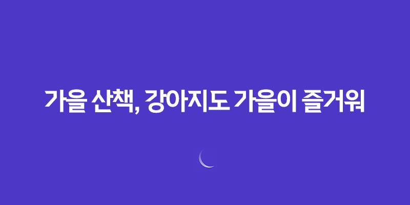 가을 산책, 강아지도 가을이 즐거워 8 가을 산책, 강아지도 가을이 즐거워 7