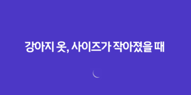 강아지 옷, 사이즈가 작아졌을 때 알아두면 좋은 팁 48