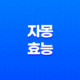 자몽 효능 및 부작용 알아보기 17