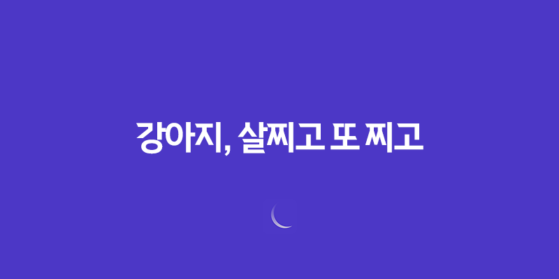 강아지, 살찌고 또 찌고! 엄청 빠른 성장 속도에 놀라라! 8 강아지, 살찌고 또 찌고! 엄청 빠른 성장 속도에 놀라라! 7