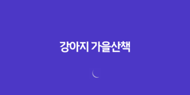 강아지 가을산책 - 아시아공원 다녀왔어요! 65