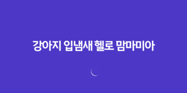 강아지 입냄새 헬로 맘마미아 반려동물 치석 제거제로 입냄새 깔끔하게 65