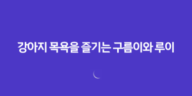 강아지 목욕을 즐기는 구름이와 루이 51