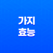 가지 효능과 부작용 15