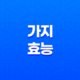 가지 효능과 부작용 17