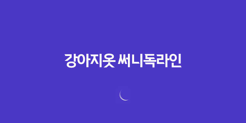 강아지옷 써니독라인, 개성 넘치고 고급스러움이 돋보이는 제품! 8 강아지옷 써니독라인, 개성 넘치고 고급스러움이 돋보이는 제품! 7